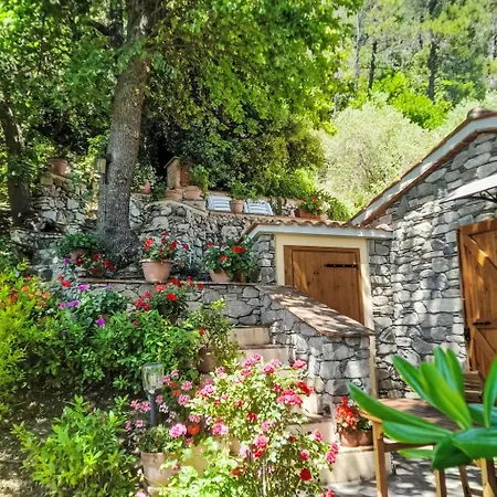 Home Relax By Interhome Castellina Marittima