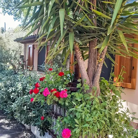 Dom wakacyjny Home Relax By Interhome Castellina Marittima