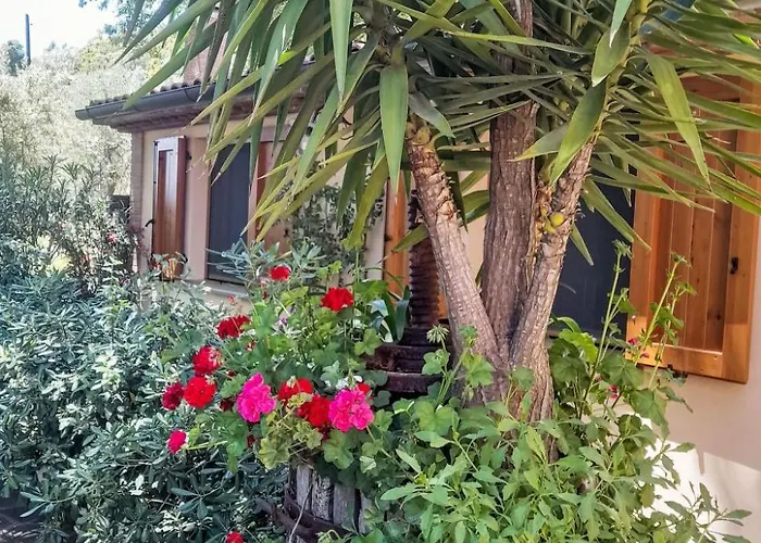 Nyaraló Home Relax By Interhome Castellina Marittima